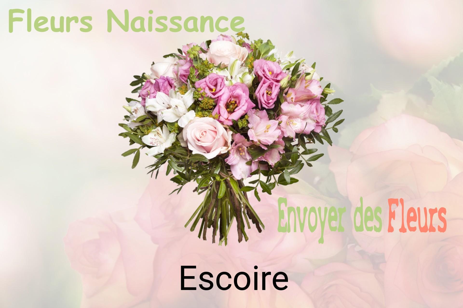 Bouquet de fleurs de naissance livré à Escoire